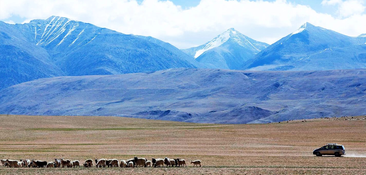 Hotel Mystique Meadows